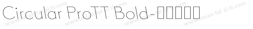 Circular ProTT Bold字体转换